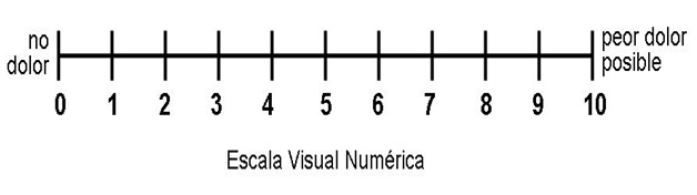 escala numerica visual clasa 1112